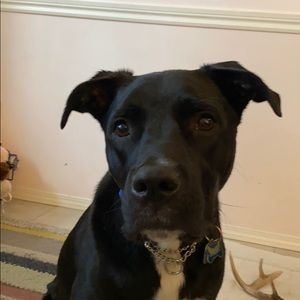 Meet your Posher, Ashah